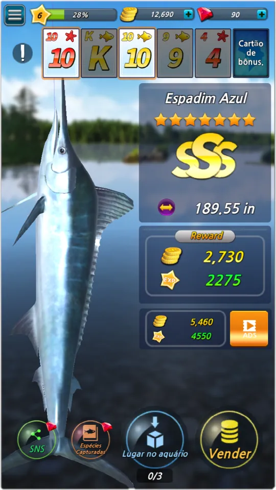 Época de Pesca: espadim-azul com nota SSS e 189,55 polegadas
