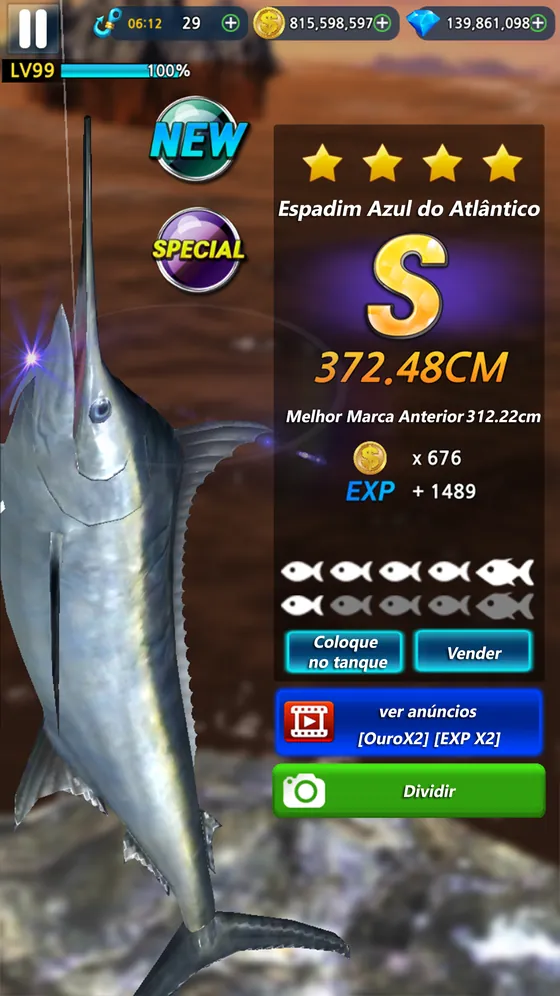 Monster Fishing 2026: espadim-azul do Atlântico com 372.48 cm e melhor marca anterior de 312.22 cm